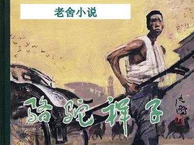 白虎一线天视频免费观看